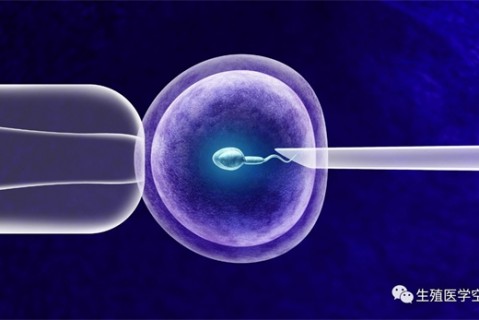 女人温州代生孩子的最佳年龄段 一辈子生几个孩子最好